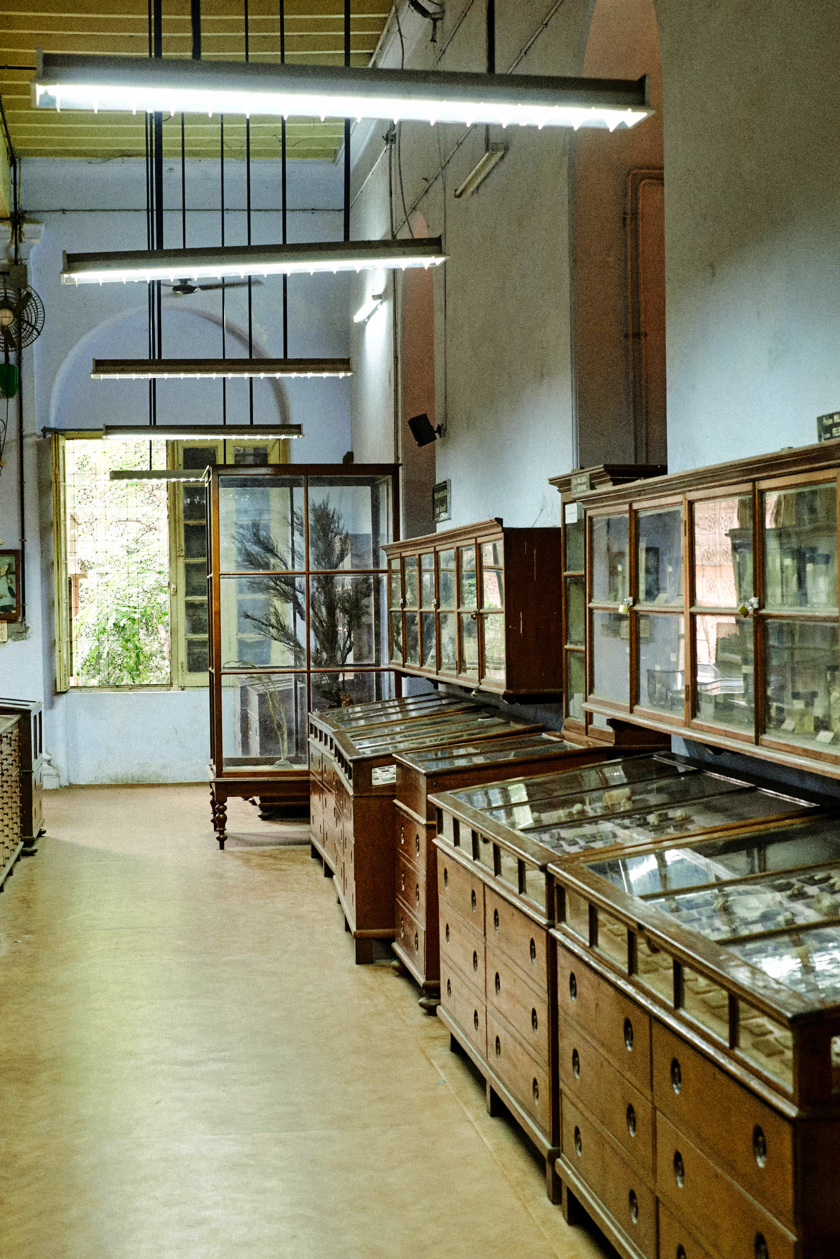 Government Art Museum Chennai